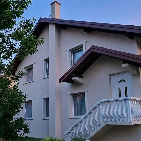 Lazaro Višegrad